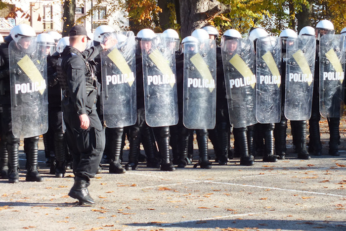 Tyraliera policyjna. Adaptacja zawodowa w Policji