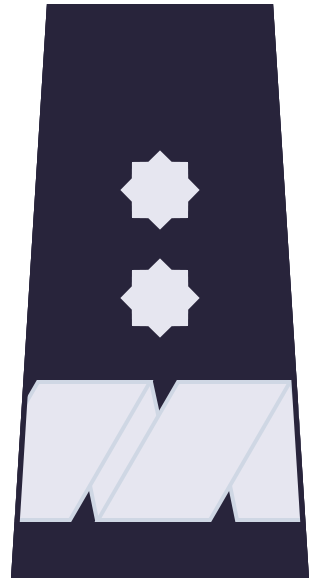Generalny inspektor Policji