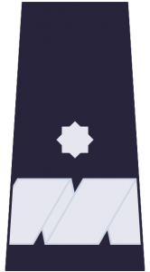 Nadinspektor Policji