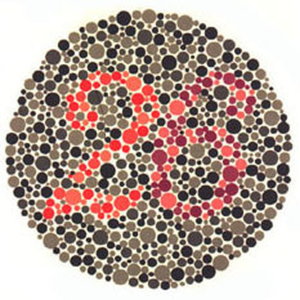 Tablica Ishihary nr 22