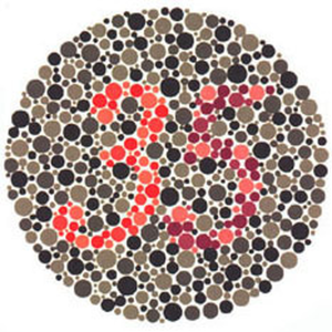 Tablica Ishihary nr 24