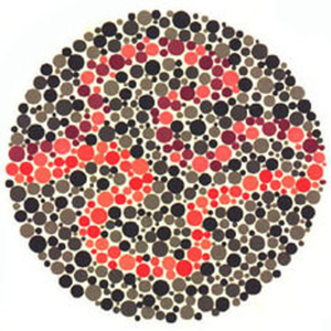 Tablica Ishihary nr 27