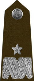 generał brygady