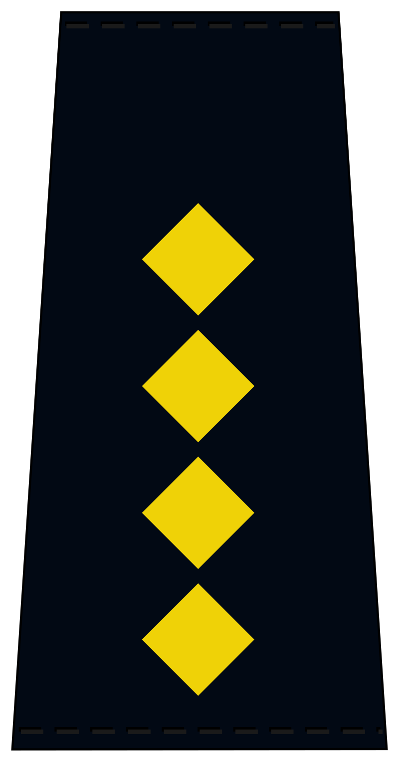 Naczelnik działu w komendzie regionalnej SOK