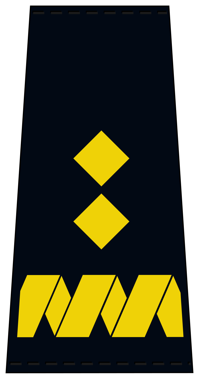 Zastępca Komendanta Głównego straży ochrony kolei do spraw ochrony