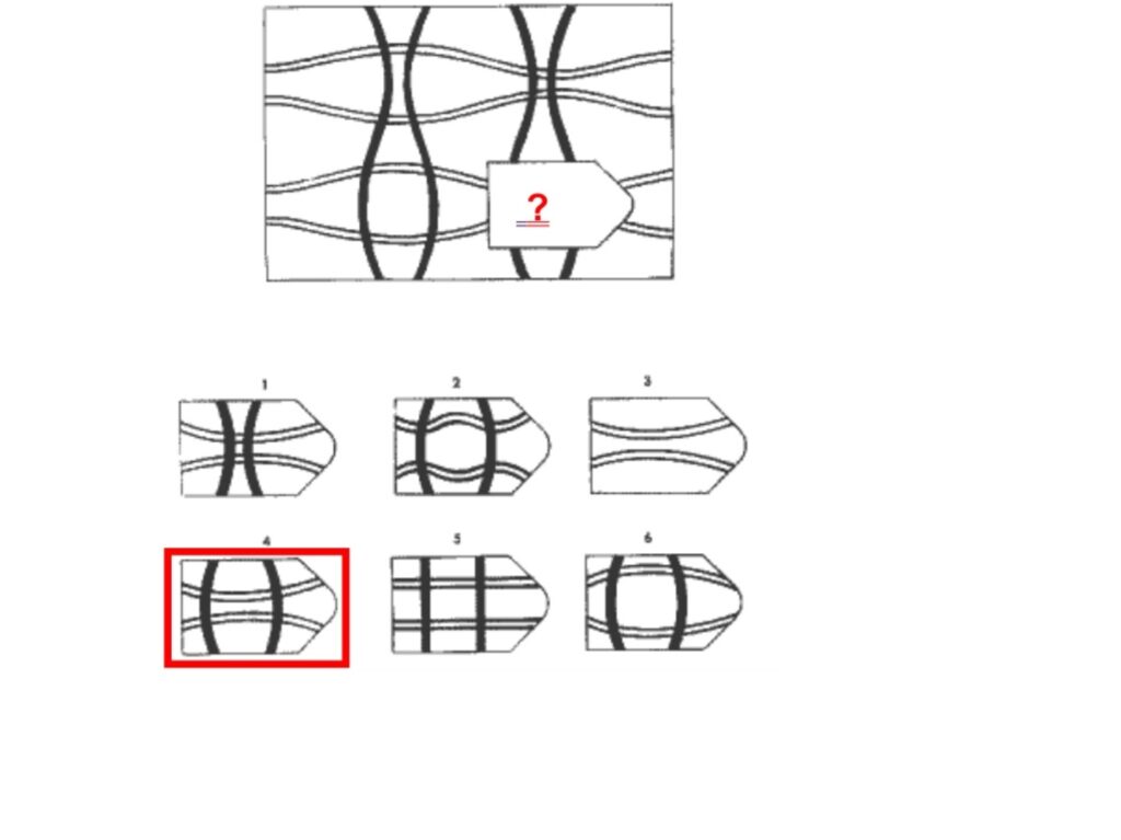 Test matryc Ravena A12