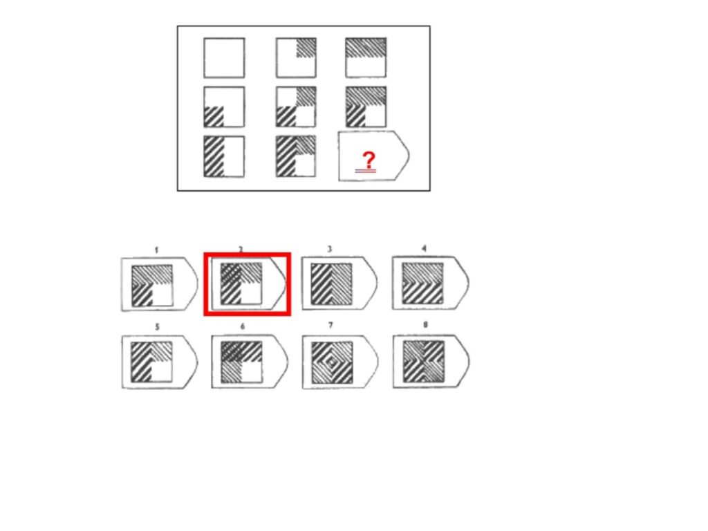 Test matryc Ravena C12