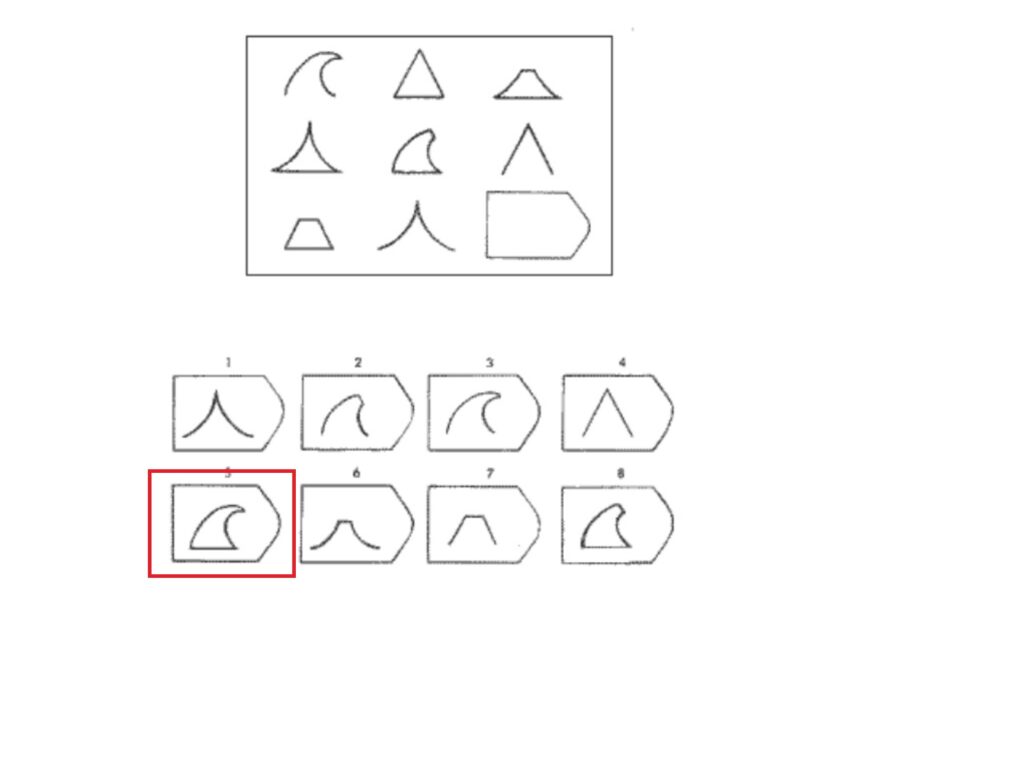 Test matryc Ravena D11