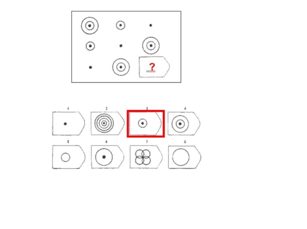 Test matryc Ravena D3